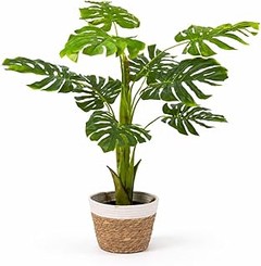 Comparativa de las mejores marcas de monstera artificial del mercado