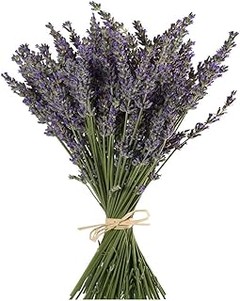 Las mejores opciones de lavanda preservada para un estilo rústico