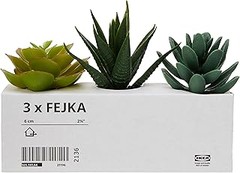 Reseñas y opiniones de cactus artificiales: ¿vale la pena comprarlos?