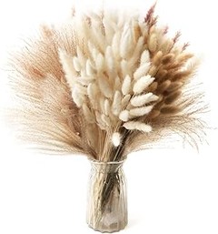 Pampas Secas: La clave de su popularidad en la decoración actual