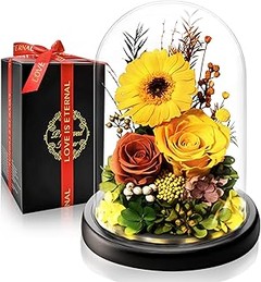 ¿Cuánto cuestan las flores preservadas en cúpulas?