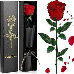 Resuelve tus Dudas sobre las Rosas Preservadas