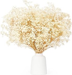 Errores frecuentes al utilizar ramos de flores secas para decorar