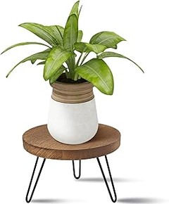 Identificando problemas al usar soportes de madera para plantas