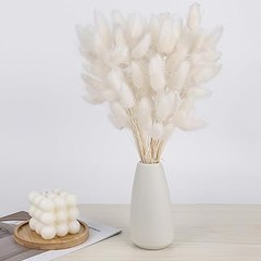 Descubre qué es el lagurus seco y cómo se usa en decoración