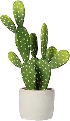 Descubre los cactus artificiales y sus múltiples ventajas