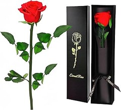 Comparativa: Rosa preservada o flores artificiales, ¿qué opción es mejor?
