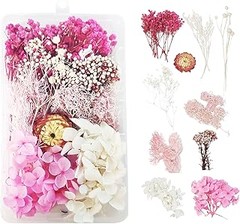 Descubre los tipos de flores secas perfectas para tus coronas