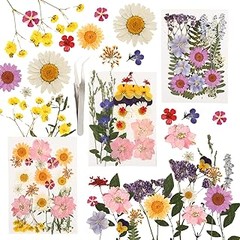 ** Conoce los tipos de flores secas más populares para manualidades