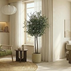 Conoce los diferentes tipos de olivos artificiales disponibles