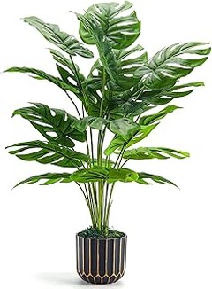 ¿Por qué elegir una Monstera Artificial en lugar de una Natural?