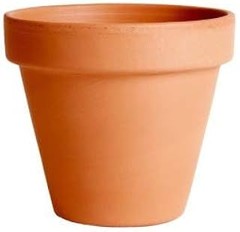 Beneficios de las Macetas de Barro en el Jardín