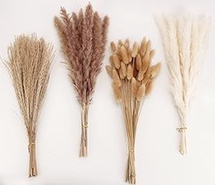 Descubre las ventajas de las pampas secas en la decoración de tu casa