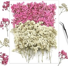 Pros y Contras de Usar Flores Secas en Decoración Floral