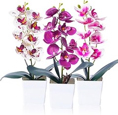 Pros y Contras de las Orquídeas Artificiales para tu Hogar