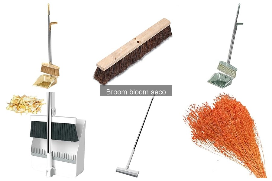 Alternativas a broom blooms secos para decoración del hogar