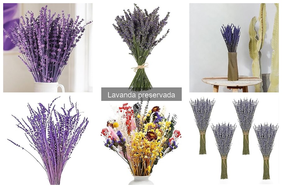 Alternativas a la Lavanda Preservada para Decoración