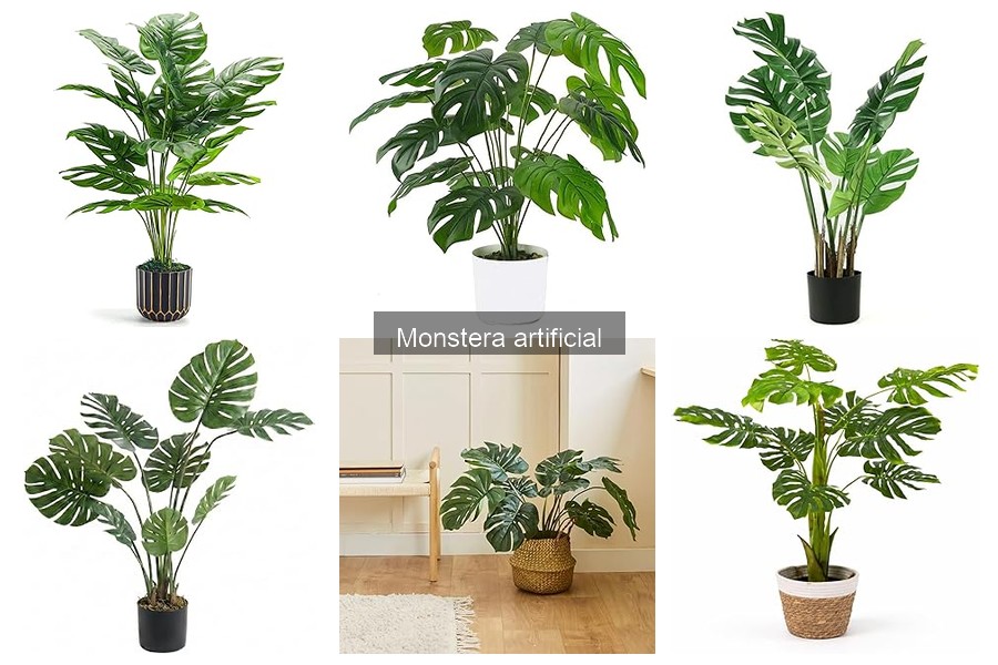 Alternativas a la Monstera Artificial para Decorar tu Hogar