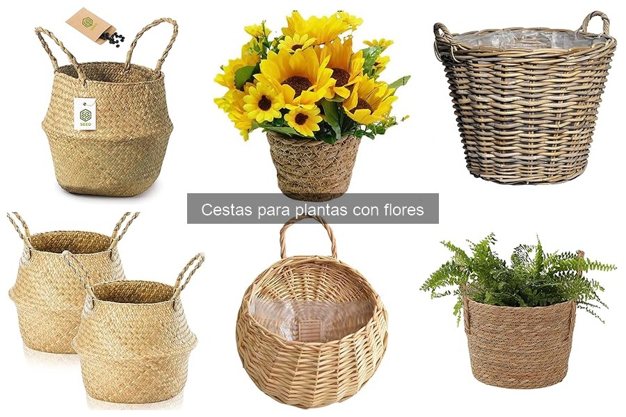 Alternativas a las cestas para plantas con flores