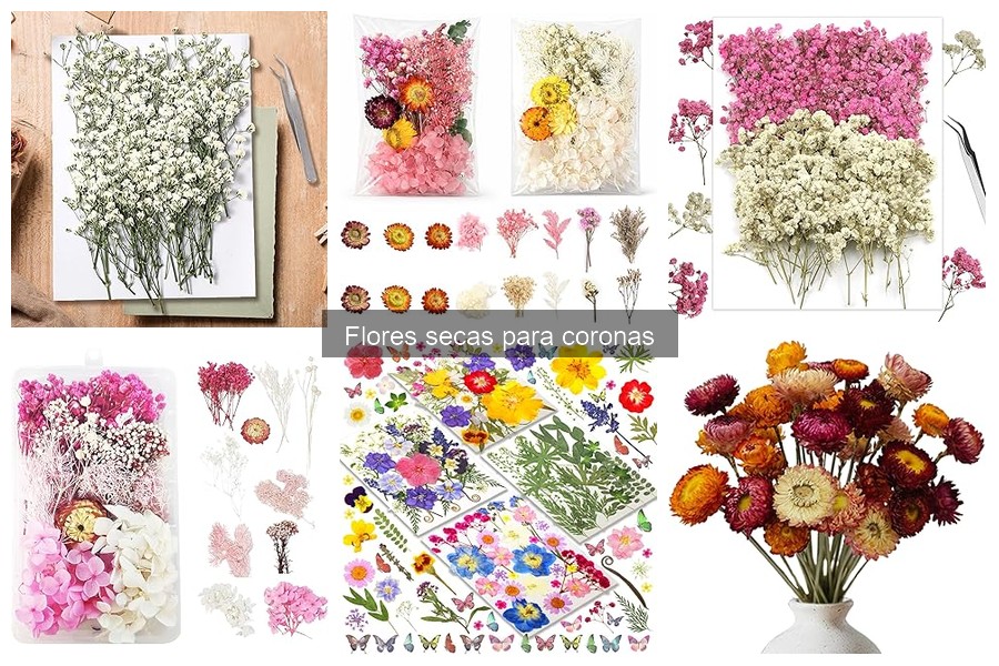 Alternativas a las Flores Secas para Coronas: Opciones Creativas