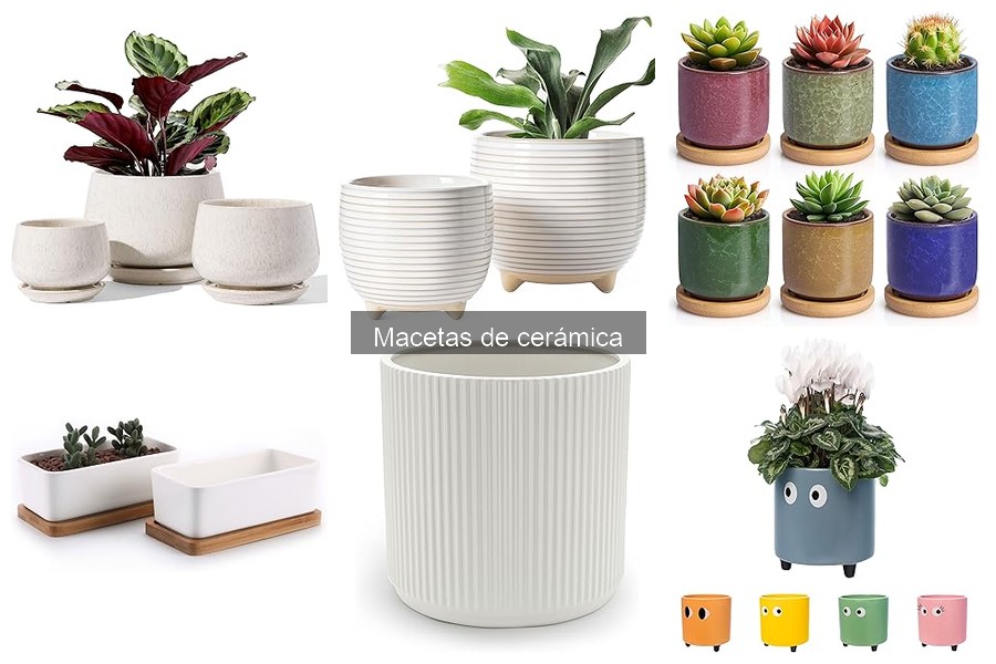 Alternativas a las Macetas de Cerámica para tus Plantas