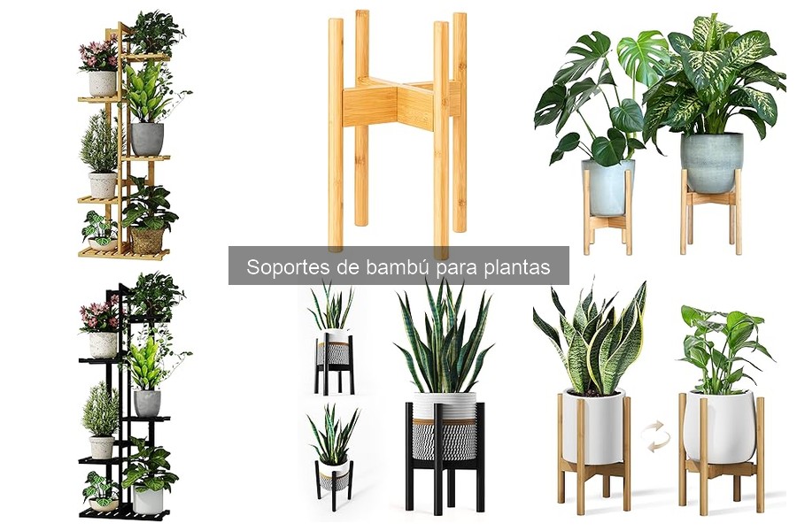 Alternativas a los soportes de bambú para plantas decorativas