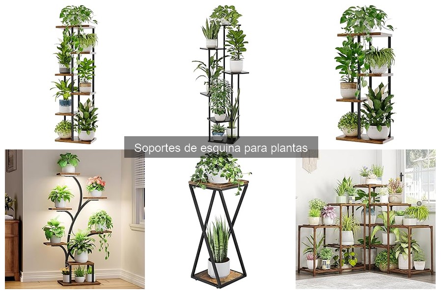 Alternativas a los soportes de esquina para plantas