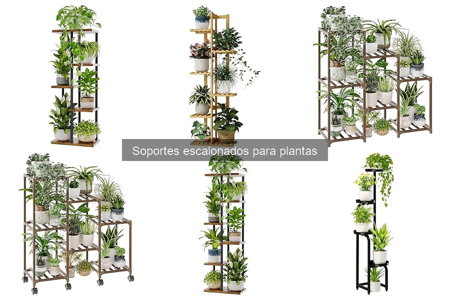 Alternativas a los soportes escalonados para plantas
