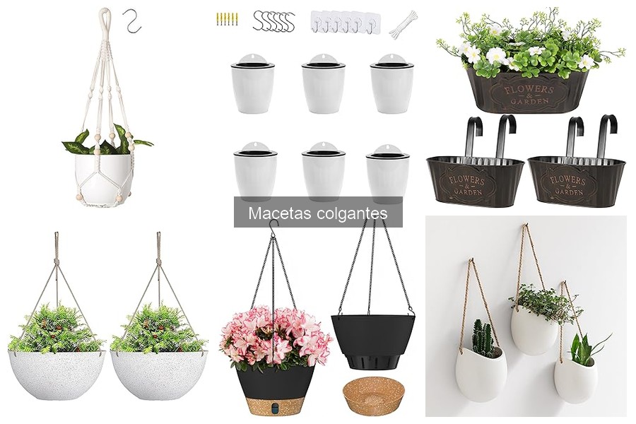 Alternativas a macetas colgantes para decoración vertical