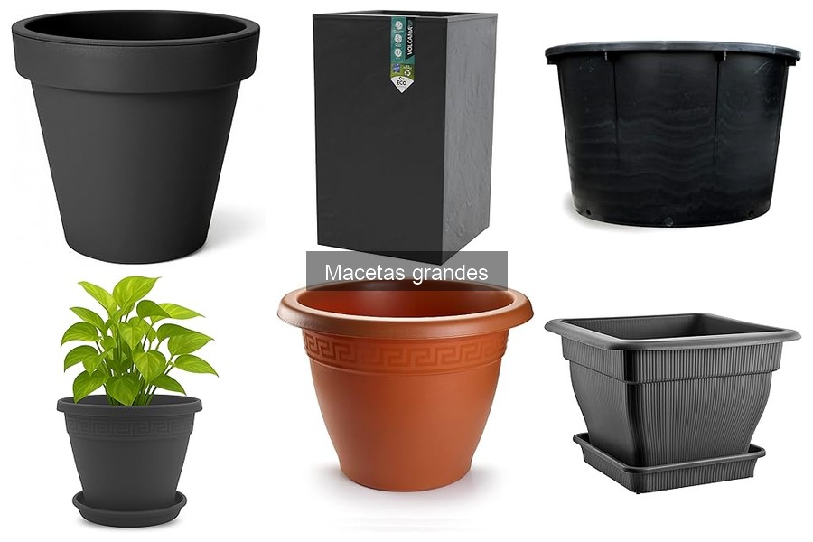 Alternativas a macetas grandes: soluciones creativas para jardinería