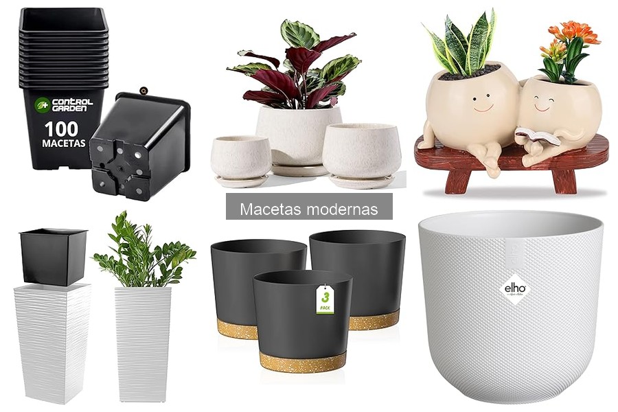 Alternativas a macetas modernas: opciones sin espacio