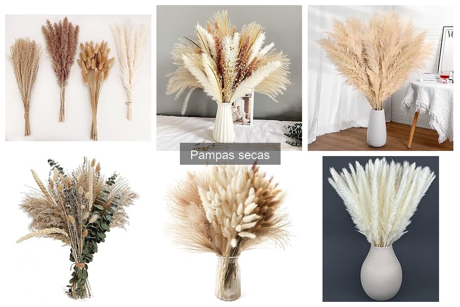 Alternativas a Pampas Secas para Decorar tu Hogar