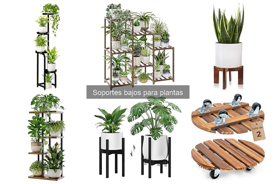 Alternativas a Soportes Bajos para Plantas: Opciones Creativas