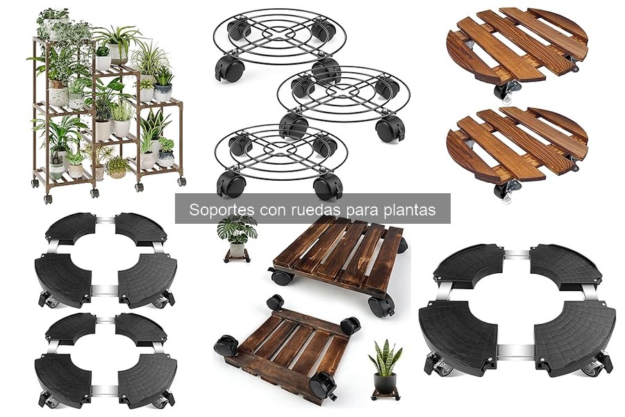 Alternativas a Soportes con Ruedas para Plantas en Casa