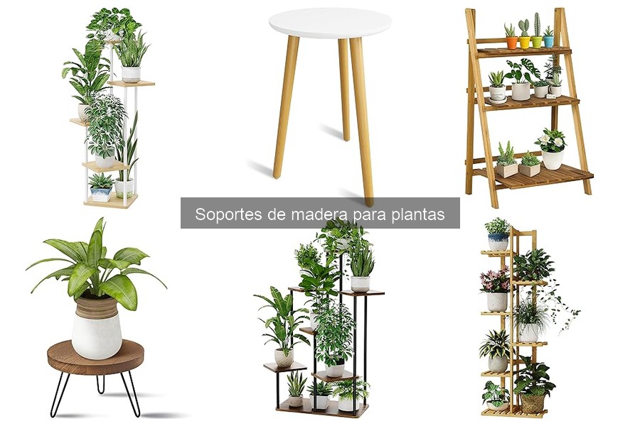 Alternativas a Soportes de Madera para Plantas en Casa