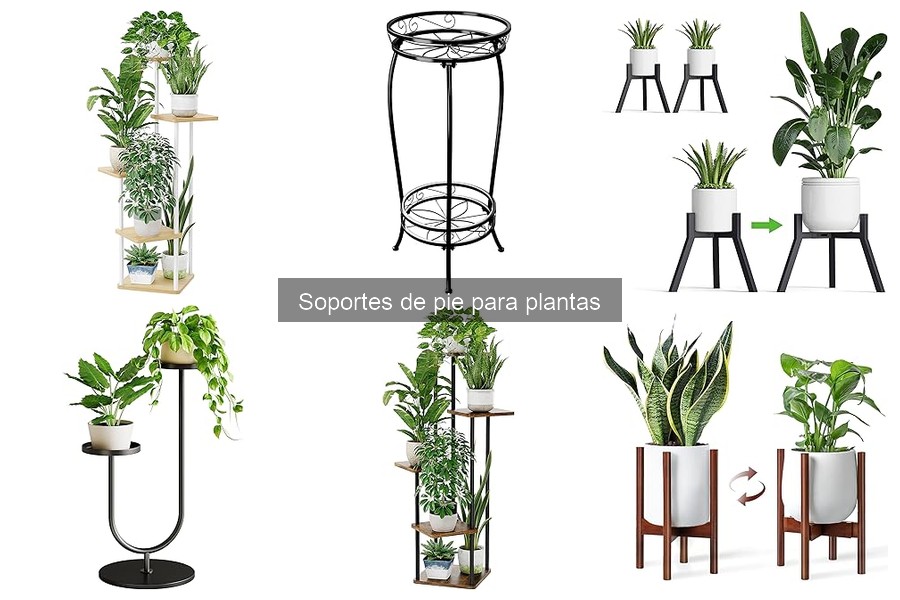Alternativas a Soportes de Pie para Plantas en Casa
