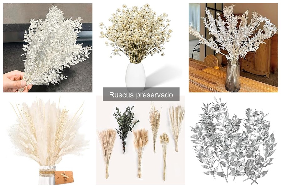 Alternativas al ruscus preservado para decorar tu hogar