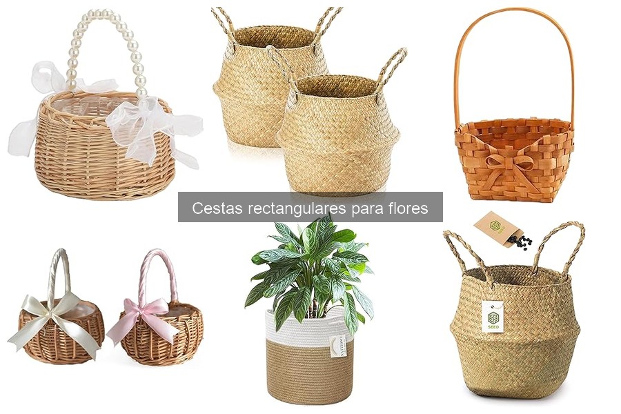Alternativas atractivas a las cestas rectangulares para flores