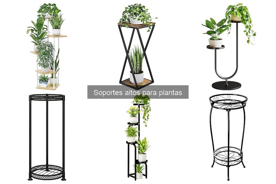 Alternativas Creativas a Soportes Altos para Plantas