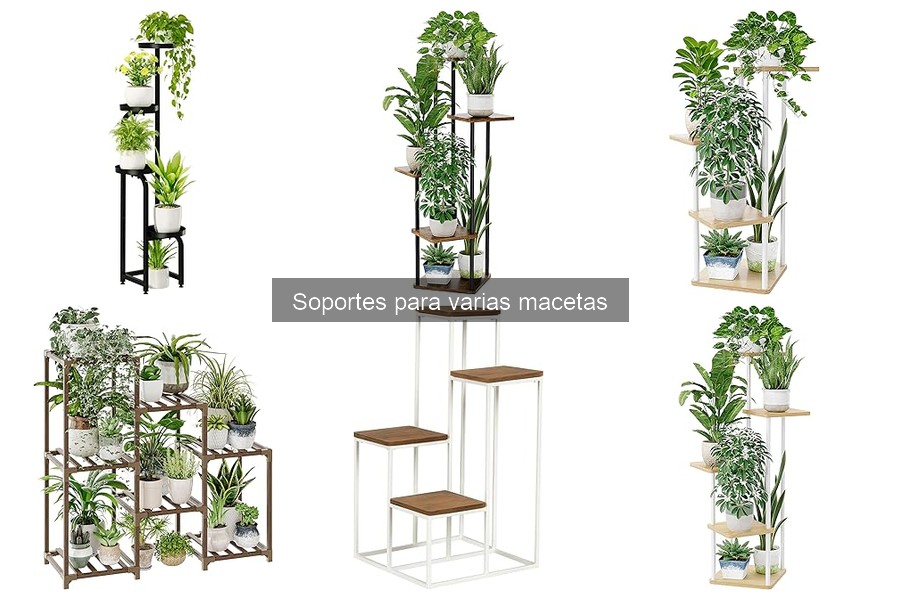 Alternativas creativas a soportes para varias macetas