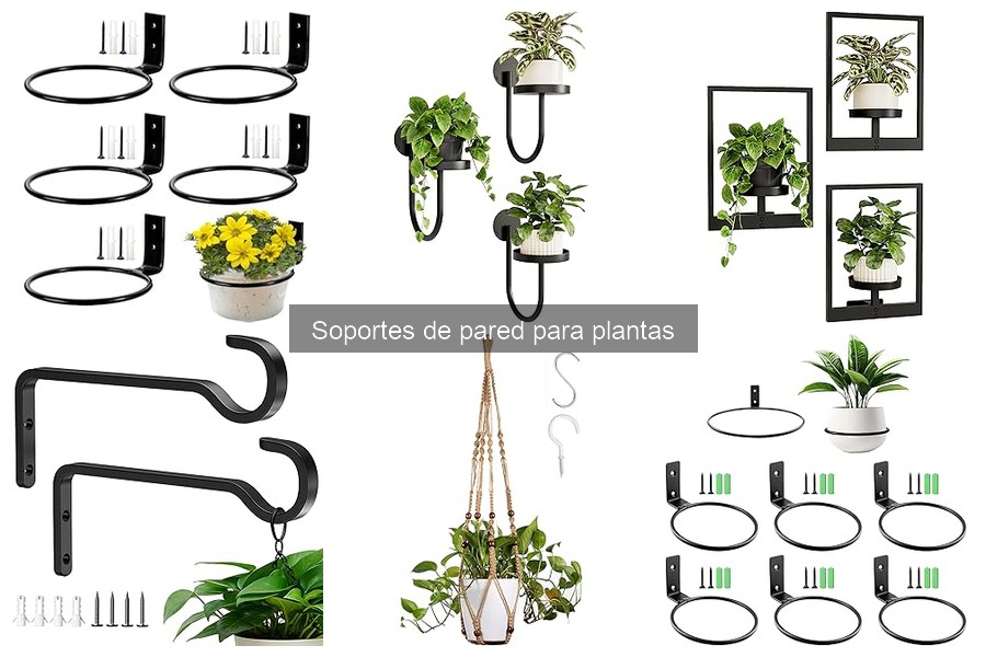 Beneficios de los soportes de pared para plantas en espacios pequeños