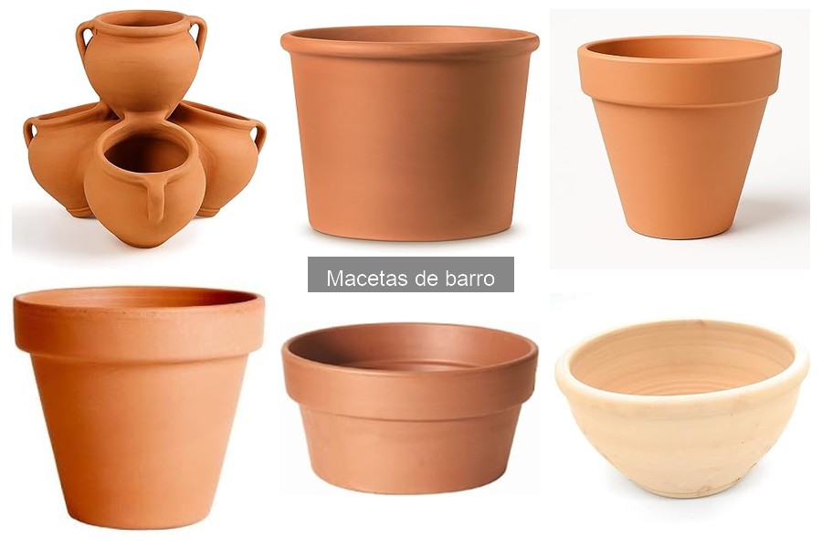 Beneficios de usar macetas de barro para decorar tu hogar