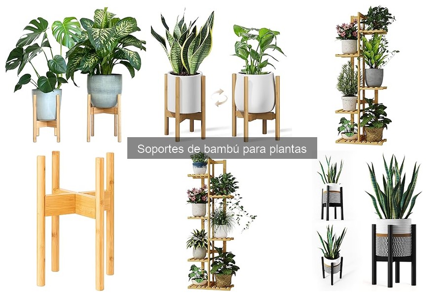 Capacidad de carga de soportes de bambú para plantas
