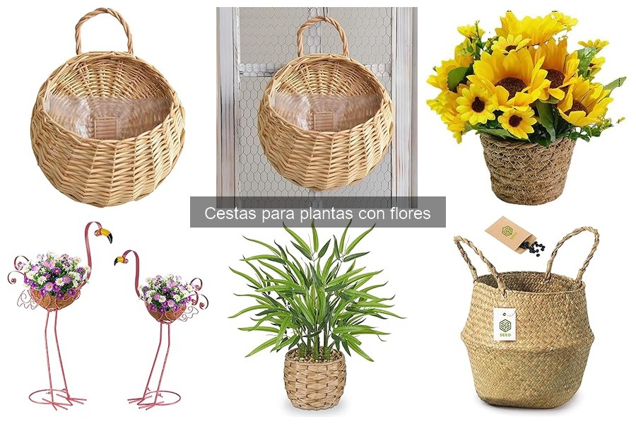 Cestas para plantas con flores: dónde comprarlas baratas