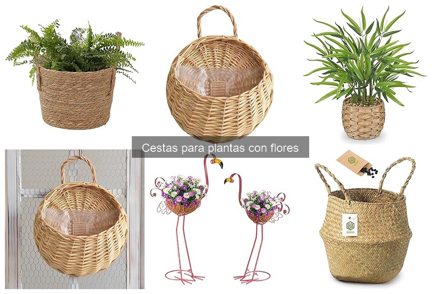 Cestas para plantas con flores: ¿Qué son y sus características?