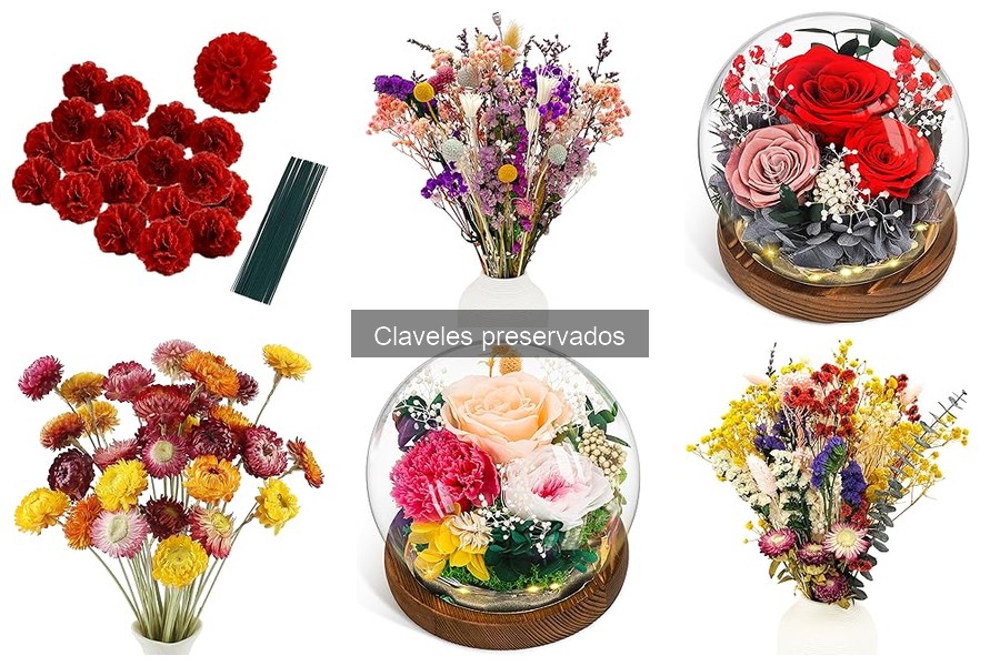 Claveles preservados: consejos para eventos especiales