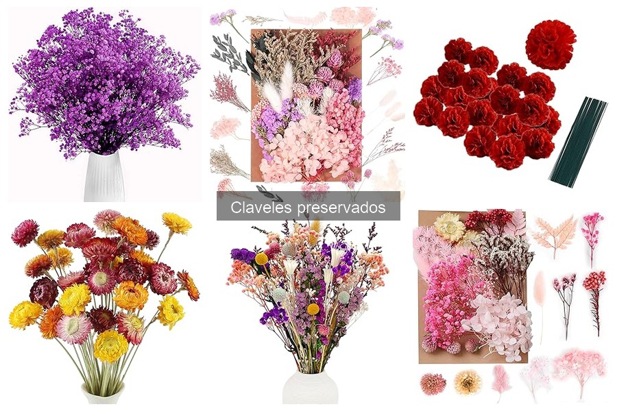 Claveles preservados vs. flores artificiales: ¿cuál elegir?