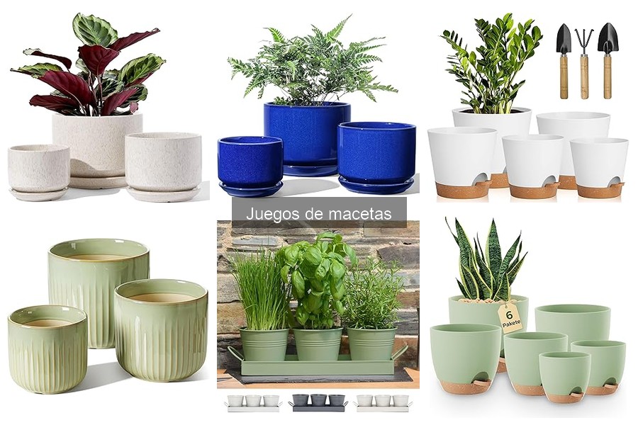 Cómo Combinar Juegos de Macetas con Decoración Floral
