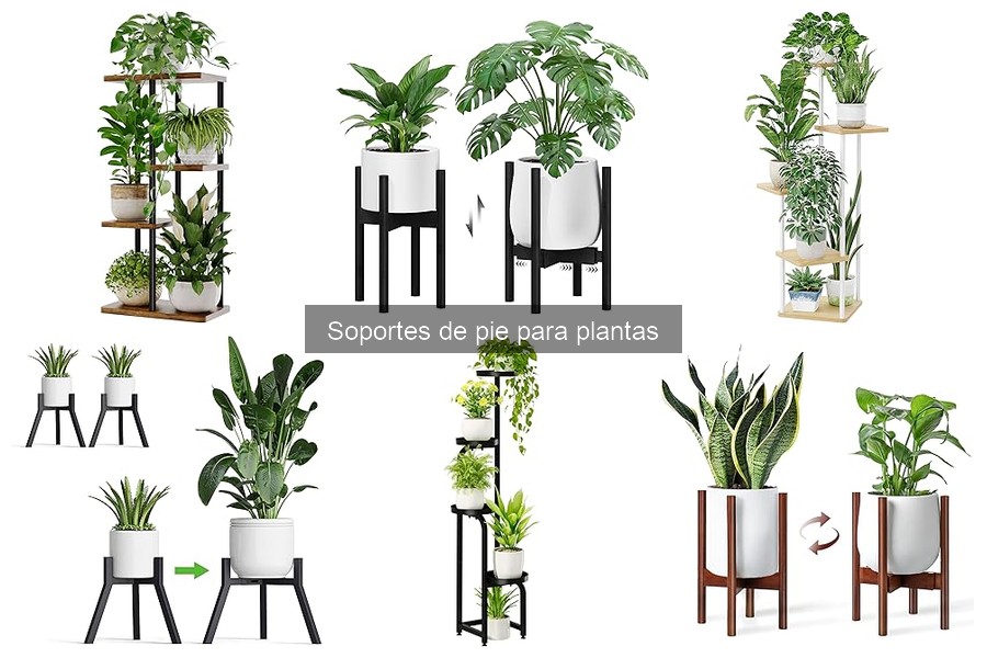 Cómo Combinar Soportes de Pie para Plantas con tu Decoración