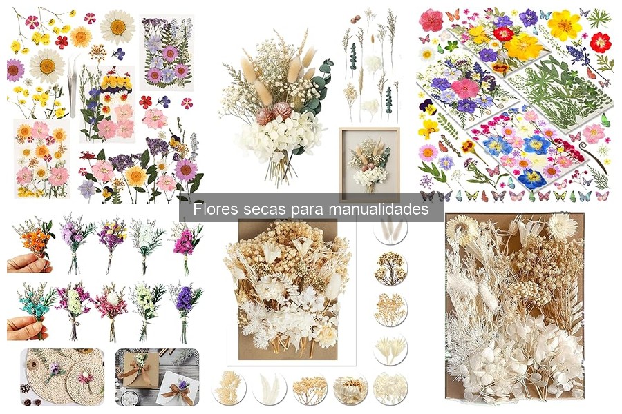 Cómo conservar flores secas para manualidades de manera efectiva